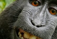 Jak unikać Januszy Biznesu i jak ich rozpoznać Janusze Biznesu